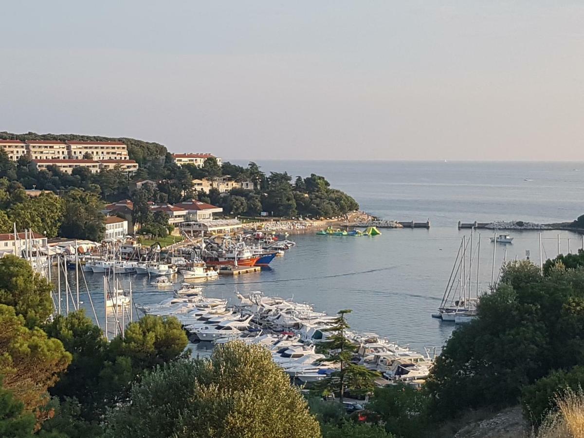 브르사르 The Istrian 빌라 외부 사진